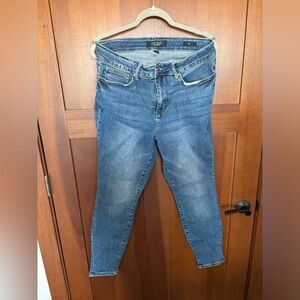 16W Judy Blue Skinny Jeans